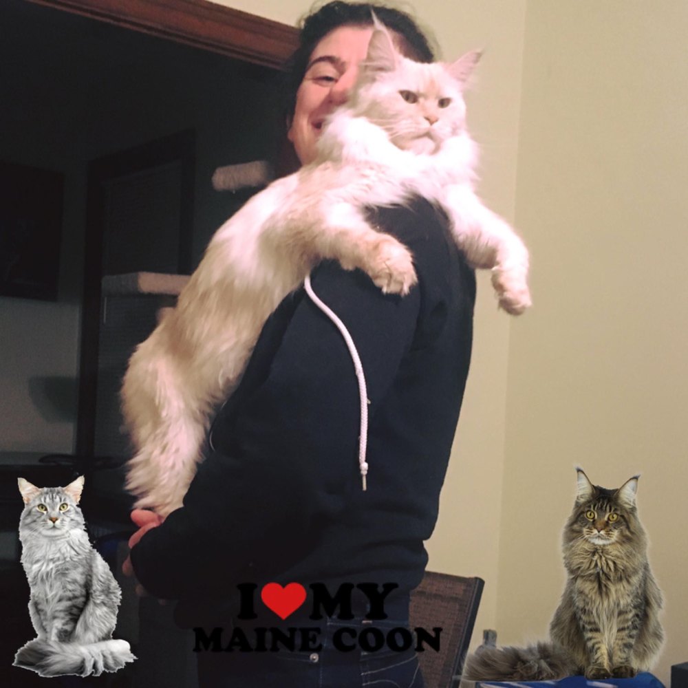 Meet your Posher, Shelby